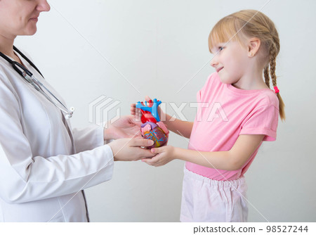 A doctor and a beautiful girl 5 years old are holding a mock-up of a heart. Pediatric cardiac surgery, congenital heart disease 98527244
