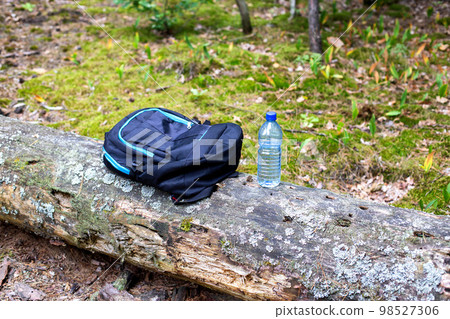 Things in a backpack and a bottle of water are on a tree in the forest. Concept kit for survival in the forest. 98527306