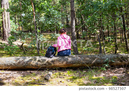 A mushroom picker girl with a backpack got lost in the forest. The girl is sitting on a tree. Survival in the forest. Location orientation. 98527307