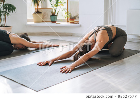 Young fit women practice yoga doing asana in bright yoga studio 98527577