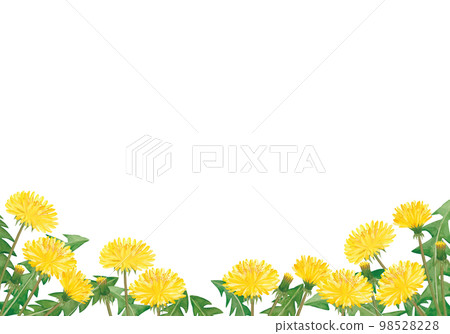 Frame of watercolor dandelions 98528228