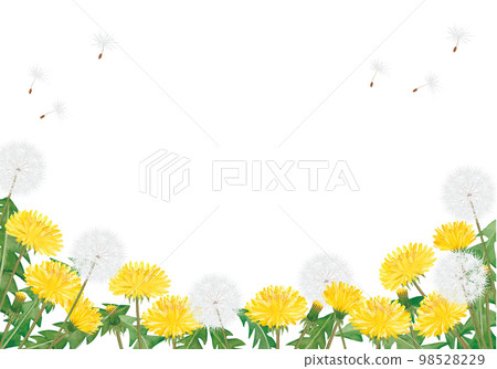 Watercolor dandelion illustration background 98528229