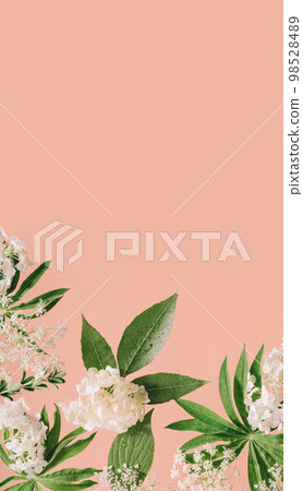 Assorted floral and jungle tree green leaves and white flowers frame border on peach pink. Natural sustainable environment friendly cosmetics mockup concept flat lay with copy space Assorted floral and jungle tree green leaves and white flowers frame border on peach pink. Natural sustainable environment friendly cosmetics mockup concept flat lay with copy space 98528489