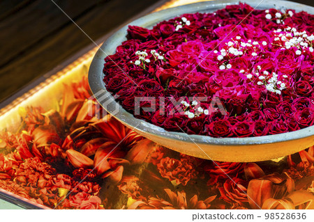 Illuminations at Ashikaga Flower Park, Hikari no Hana no Niwa, Ashikaga City, Tochigi Prefecture 98528636