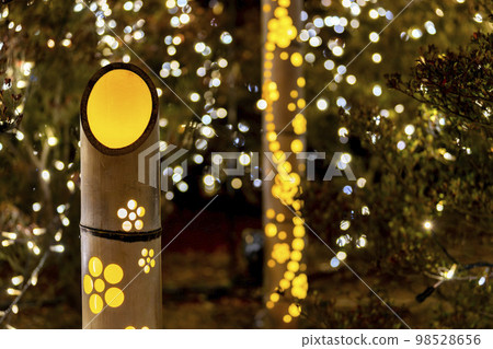 Illuminations at Ashikaga Flower Park Bamboo Lights Light Flower Garden Ashikaga City, Tochigi Prefecture 98528656