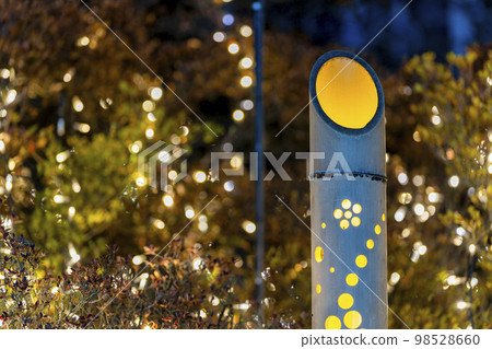 Illuminations at Ashikaga Flower Park Bamboo Lights Light Flower Garden Ashikaga City, Tochigi Prefecture 98528660