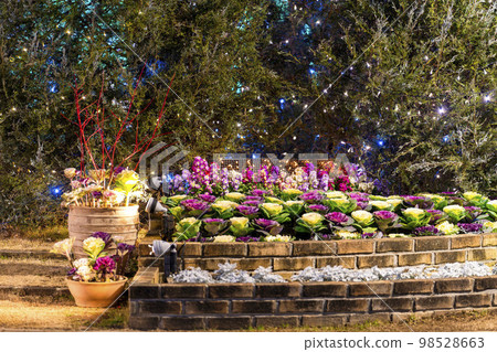 Illuminations at Ashikaga Flower Park Hikari no Hana Niwa, Ashikaga City, Tochigi Prefecture 98528663