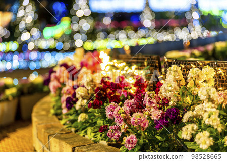 Illuminations at Ashikaga Flower Park Hikari no Hana Niwa, Ashikaga City, Tochigi Prefecture 98528665