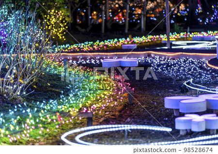 Illuminations at Ashikaga Flower Park Hikari no Hana Niwa, Ashikaga City, Tochigi Prefecture Illuminations at Ashikaga Flower Park Hikari no Hana Niwa, Ashikaga City, Tochigi Prefecture 98528674