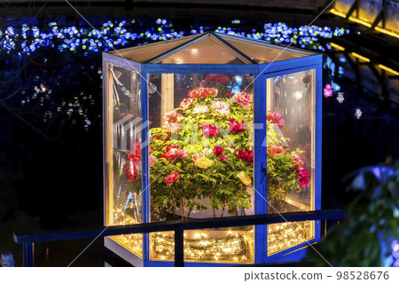 足利花卉公園的燈飾 Hikari no Hana no Niwa Winter Blooms Buttons 栃木縣足利市 足利花卉公園的燈飾 Hikari no Hana no Niwa Winter Blooms Buttons 栃木縣足利市 98528676