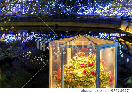 足利花卉公園的燈飾 Hikari no Hana no Niwa Winter Blooms Buttons 栃木縣足利市 足利花卉公園的燈飾 Hikari no Hana no Niwa Winter Blooms Buttons 栃木縣足利市 98528677