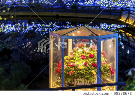 足利花卉公園的燈飾 Hikari no Hana no Niwa Winter Blooms Buttons 栃木縣足利市 足利花卉公園的燈飾 Hikari no Hana no Niwa Winter Blooms Buttons 栃木縣足利市 98528678
