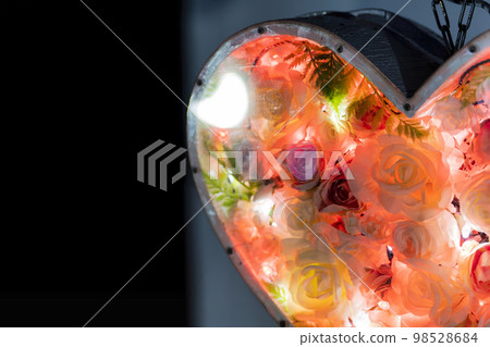 足利花卉公園照明燈花園心燈栃木縣足利市 足利花卉公園照明燈花園心燈栃木縣足利市 98528684