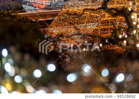 Illuminations at Ashikaga Flower Park Hikari no Hana Niwa, Ashikaga City, Tochigi Prefecture 98528692