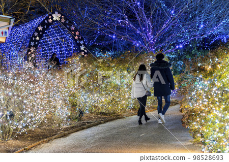Ashikaga Flower Park Illumination Light Flower Garden Male and Female Couple Ashikaga City, Tochigi Prefecture 98528693
