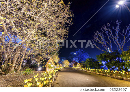 Illuminations at Ashikaga Flower Park Hikari no Hana no Niwa Winter Blooming Buttons Ashikaga City, Tochigi Prefecture 98528697