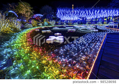 Illuminations at Ashikaga Flower Park Hikari no Hana Niwa, Ashikaga City, Tochigi Prefecture 98528698