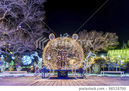 Illuminations at Ashikaga Flower Park, Light Flower Garden, Pumpkin Carriage, Ashikaga City, Tochigi Prefecture 98528700