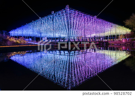 Illuminations at Ashikaga Flower Park Light Flower Garden Light Fuji no Naha Monogatari Ashikaga City, Tochigi Prefecture 98528702
