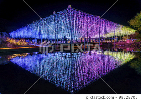 Illuminations at Ashikaga Flower Park Light Flower Garden Light Fuji no Naha Monogatari Ashikaga City, Tochigi Prefecture Illuminations at Ashikaga Flower Park Light Flower Garden Light Fuji no Naha Monogatari Ashikaga City, Tochigi Prefecture 98528703