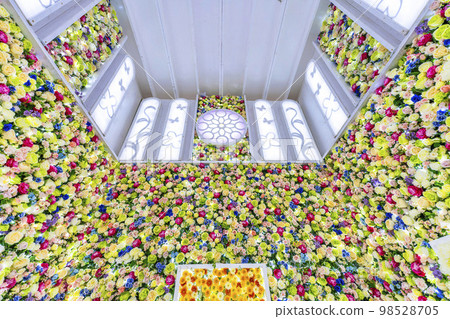 Illuminations at Ashikaga Flower Park, Flower Garden of Light, Flowers in Flower Castle, Ashikaga City, Tochigi Prefecture 98528705