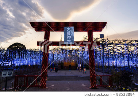 栃木縣足利市足利花卉公園 Hikari no Hana Niwa 的燈飾 栃木縣足利市足利花卉公園 Hikari no Hana Niwa 的燈飾 98528894