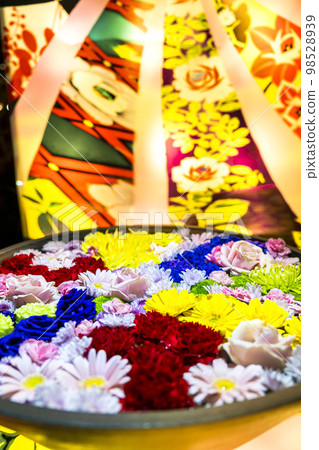 Illuminations at Ashikaga Flower Park, Hikari no Hana no Niwa, Ashikaga City, Tochigi Prefecture 98528939