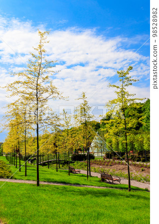 Beautiful view of the city park with arched footbridge across small river and young trees Beautiful view of the city park with arched footbridge across small river and young trees 98528982
