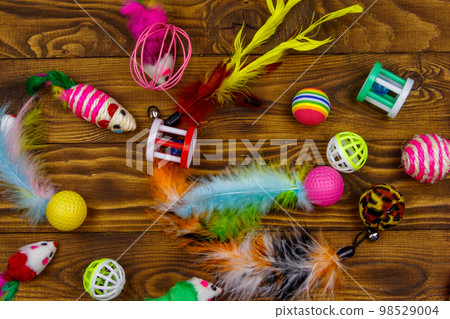 Set of toys for cat on wooden background. Top view 98529004