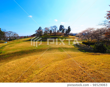 Raijinyama Burial Mound in Spring, Natori City, Miyagi Prefecture 98529063