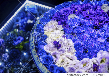 Illuminations at Ashikaga Flower Park, Hikari no Hana no Niwa, Ashikaga City, Tochigi Prefecture 98529099