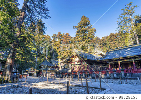 Nikko Toshogu shrine in sunny winter, approach and torii, Nikko City, Tochigi Prefecture 98529153