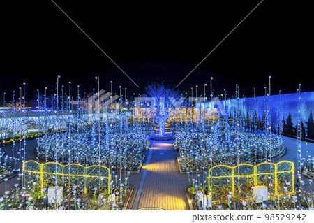 栃木縣足利市足利花卉公園光之花庭、光之玫瑰園的燈飾 栃木縣足利市足利花卉公園光之花庭、光之玫瑰園的燈飾 98529242