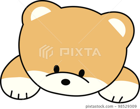 溫暖可愛的窺視博美犬 溫暖可愛的窺視博美犬 98529309