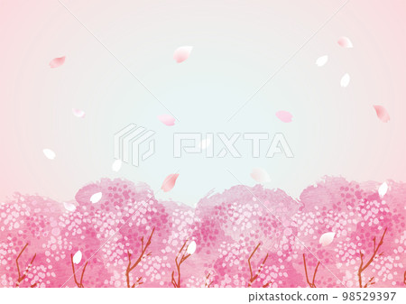 Cherry blossom gentle spring background illustration 98529397