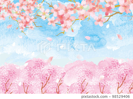 Cherry blossom gentle spring background illustration Cherry blossom gentle spring background illustration 98529406