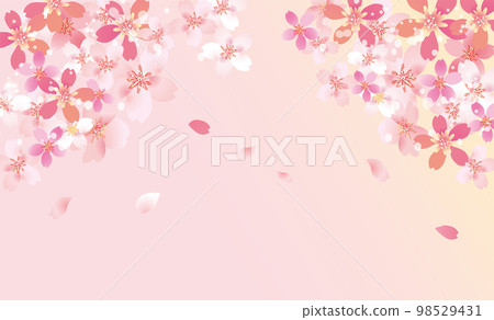 Cherry blossom gentle spring background illustration 98529431