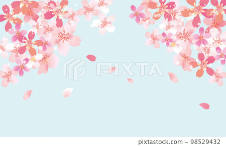 Cherry blossom gentle spring background illustration 98529432