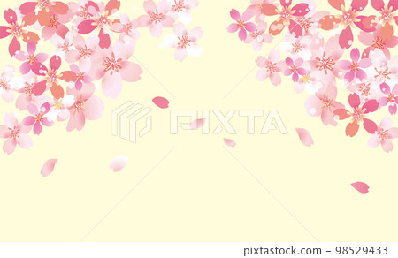 Cherry blossom gentle spring background illustration 98529433