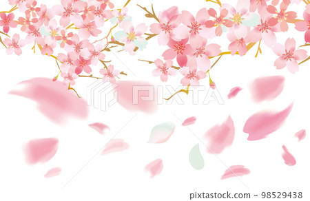 Cherry blossom gentle spring background illustration 98529438