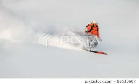 Downhill touring skis 98530607