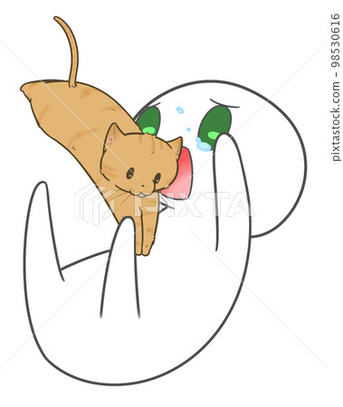 無情地趴在肚子上的貓和主人 無情地趴在肚子上的貓和主人 98530616