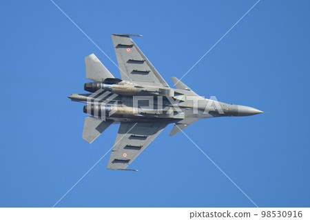 印度空軍蘇霍伊 Su-30MKI 印度空軍蘇霍伊 Su-30MKI 98530916