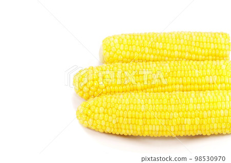 3 boiled corn yellow bright background 3 boiled corn yellow bright background 98530970