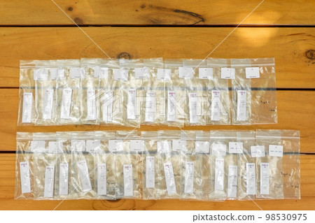 A lot of Coronavirus (COVID-19) test result in the zip bags are arranged on wood table at outdoor field. A lot of Coronavirus (COVID-19) test result in the zip bags are arranged on wood table at outdoor field. 98530975