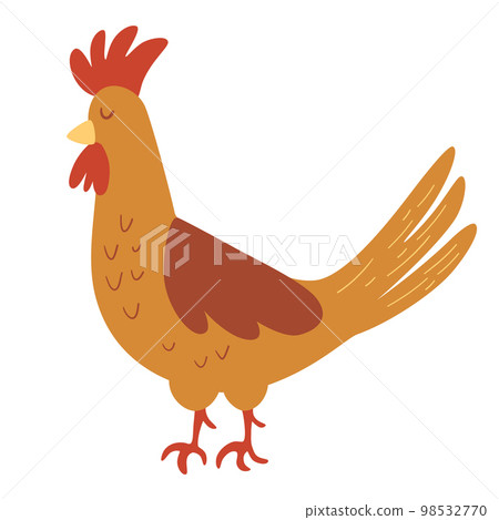 Rooster. Cock. Farm Pet. Vector cartoon illustration, isolated element. Rooster. Cock. Farm Pet. Vector cartoon illustration, isolated element. 98532770
