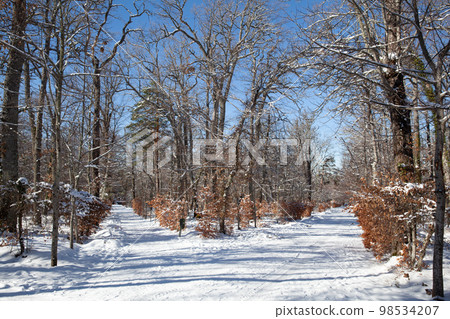 Gardens of Royal Palace of La Granja de San Ildefonso, Spain Gardens of Royal Palace of La Granja de San Ildefonso, Spain 98534207
