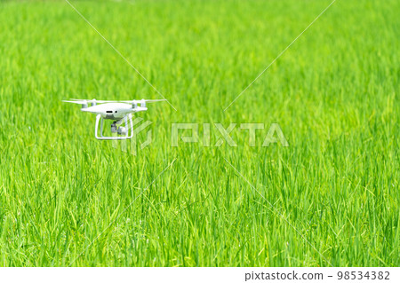 Drone is flying on the green paddy rice field. Drone is flying on the green paddy rice field. 98534382