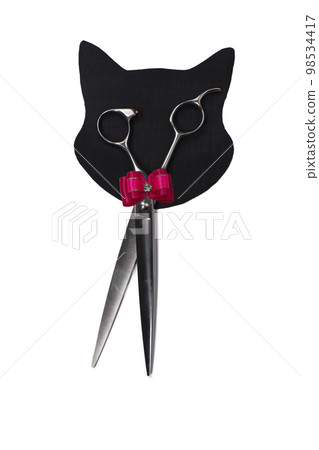 Set of different combs and brushes for grooming pets on a white background with shadow reflection. A creative cat figurine made from grooming tools. Set of different combs and brushes for grooming pets on a white background with shadow reflection. A creative cat figurine made from grooming tools. 98534417