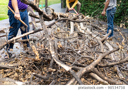 Asian worker axe the logs, dead tree to small pieces for next process. 98534738